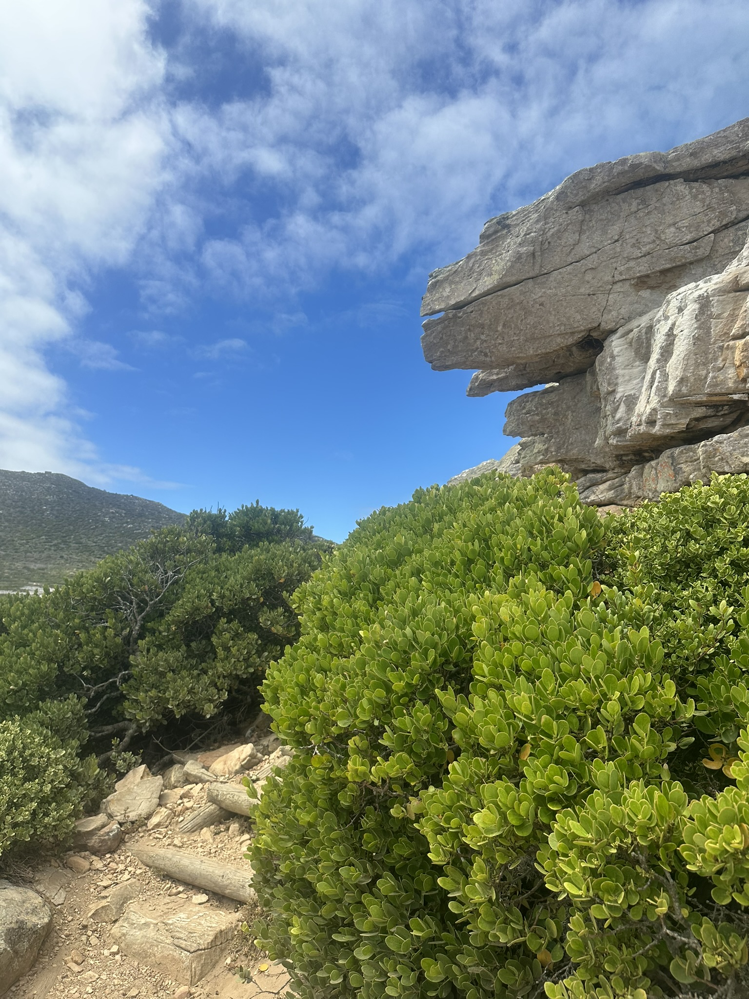 South Africa - Image 425